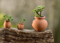 2PCS-Mini-Flower-Pots-Clay-Plant-Pot-For-Planter-Wedding-Decoration-Craft-The-Real-Color-Of.jpeg