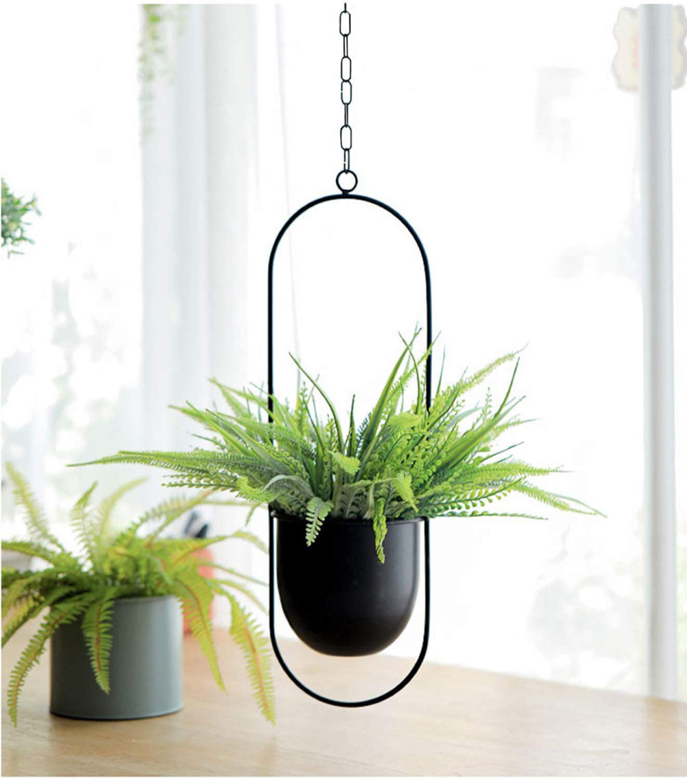 Iron Hanging Hydroponic Plant Hanging Orchid Pots 4