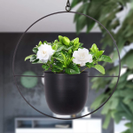 Iron Hanging Hydroponic Plant Hanging Orchid Pots 8