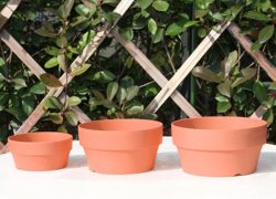 Round-Plant-Pot-Tray-With-Drainage-Holes-Imitation-Ceramic-Pot-Plate-Gardening-Supplies-For-Flowers-Plants-1.jpg