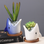 Succulent Pot Creative Cartoon Ceramic Flower Pots European style Simple Indoor Desktop Pots For Plants Office Decor Planters 1