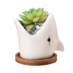 Succulent Pot Creative Cartoon Ceramic Flower Pots European style Simple Indoor Desktop Pots For Plants Office Decor Planters 3