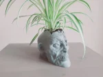 Zombie Head Plant Pot 2