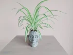 Zombie Head Plant Pot 4