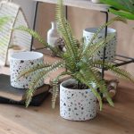 balcony succulents round flower pots succulent plant pot 3