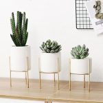 brass plant stands succulent plant pot stand 14