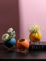 metal plant pot holder with round ceramic pot 3