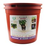 red vegetables planting pot gardening plant pot