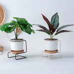 small plant stands best for home decor