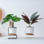 small plant stands best for home decor 2