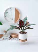 small plant stands best for home decor 4