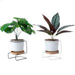 small plant stands best for home decor 5