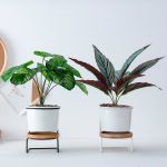 small plant stands best for home decor 7