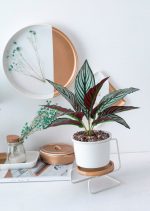 small plant stands best for home decor 8