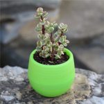 succulents mini flower pots ceramic stone flower pot 2