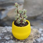 succulents mini flower pots ceramic stone flower pot 3