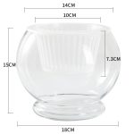 transparent glass plant pot hydroponic glass plant pot 5